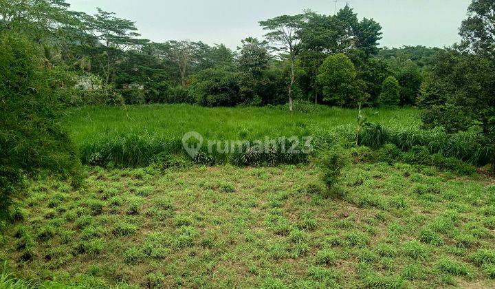 Di jual sebidang tanah di daerah rumpin desa Cibodas jalan strategis  2