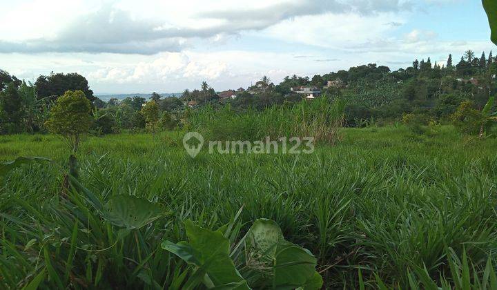 Di jual tanah murah lokasi strategis  1