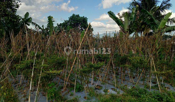 Di jual tanah lokasi strategis view lepas  2