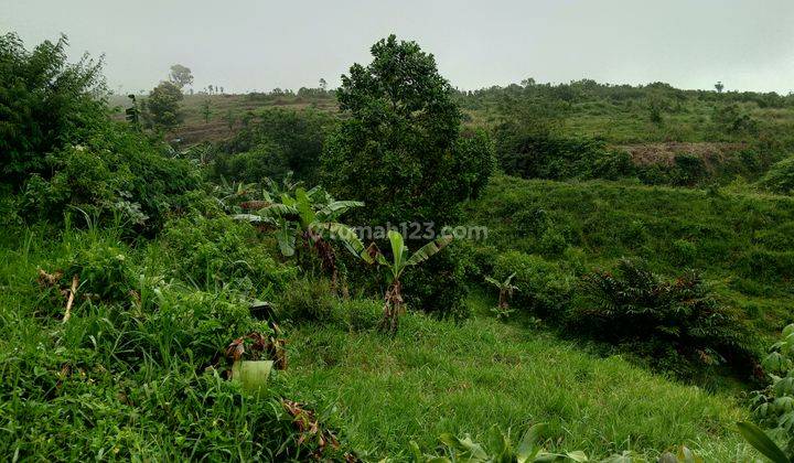 Di jual tanah murah strategis di Cijeruk Bogor  1