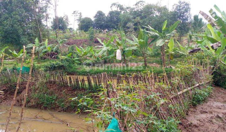 Di jual sebidang tanah di jasinga cikopomayak  1