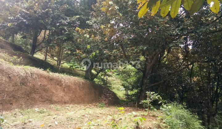 Di jual tanah jalan strategis  3