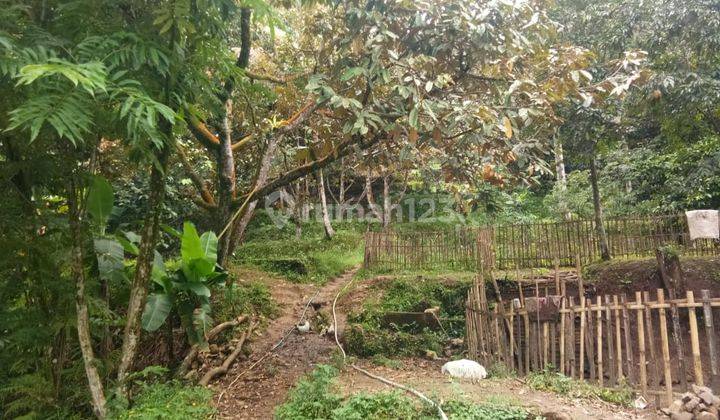Di jual tanah jalan strategis  4