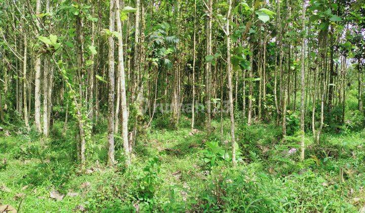 Di jual tanah. lokasi sangat strategis  10