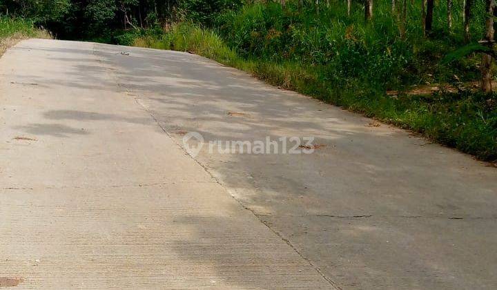 Di jual sebidang tanah di daerah sajira 2