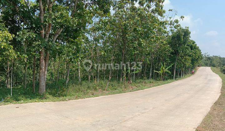 Di jual sebidang tanah di daerah sajira 4