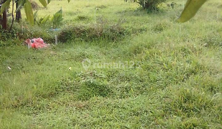 Di. Jual tanah jalan strategis  13