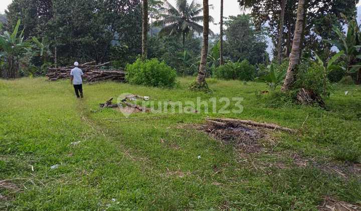 Di. Jual tanah jalan strategis  12