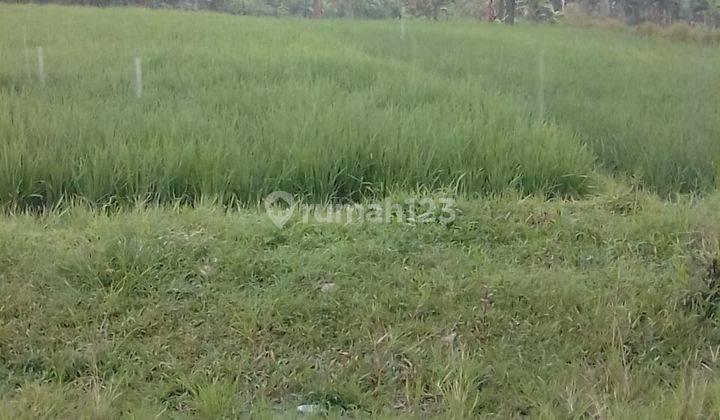 Di jual tanah view lepas  4
