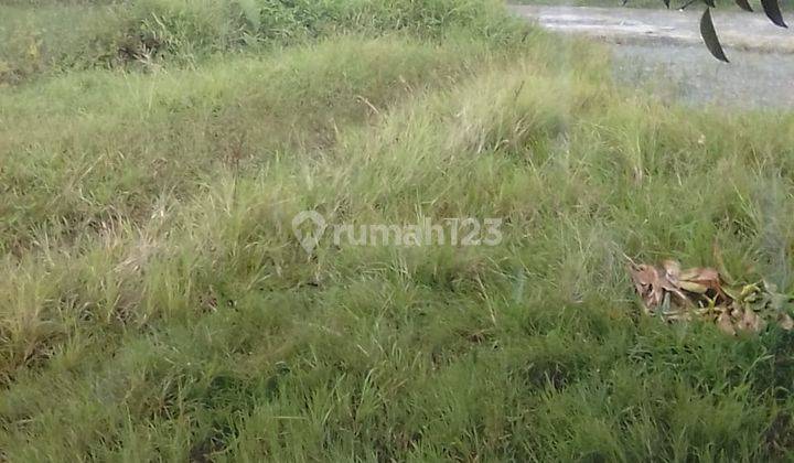 Di jual tanah view lepas  3