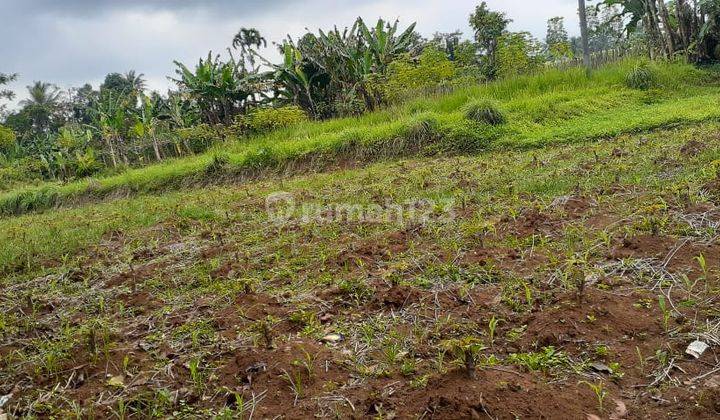 Di jual tanah jalan sangat strategis  4