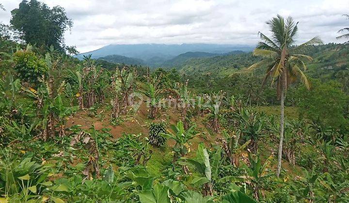 Di jual tanah jalan sangat strategis  5