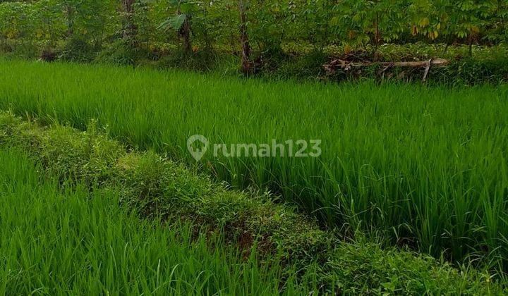 Di jual tanah murah lokasi sangat strategis view gunung salak  4