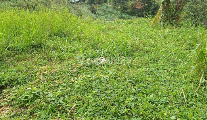 Di jual sebidang tanah view lepas. 9
