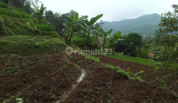 Di jual sebidang tanah murah view lepas  5