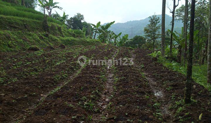 Di jual sebidang tanah murah view lepas  8