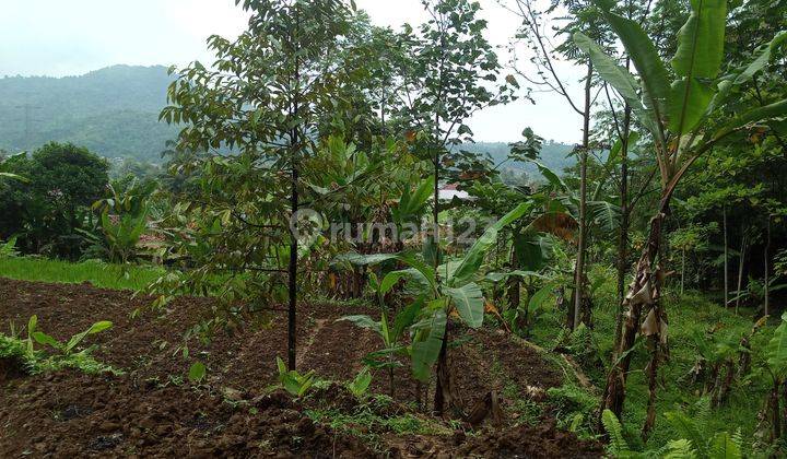 Di jual sebidang tanah murah view lepas  11