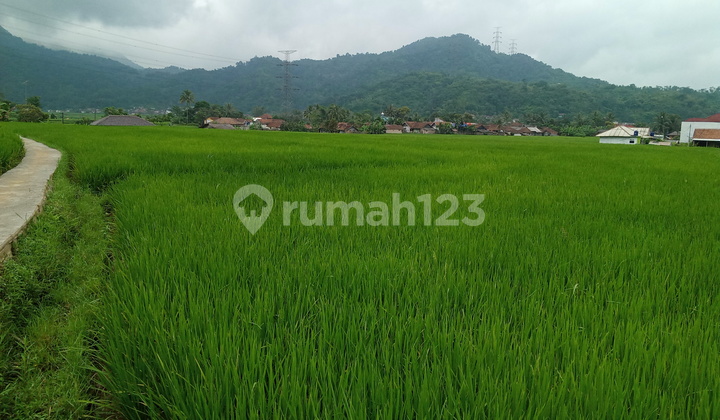 Di jual tanah view lepas  3