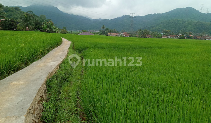 Di jual tanah view lepas  7