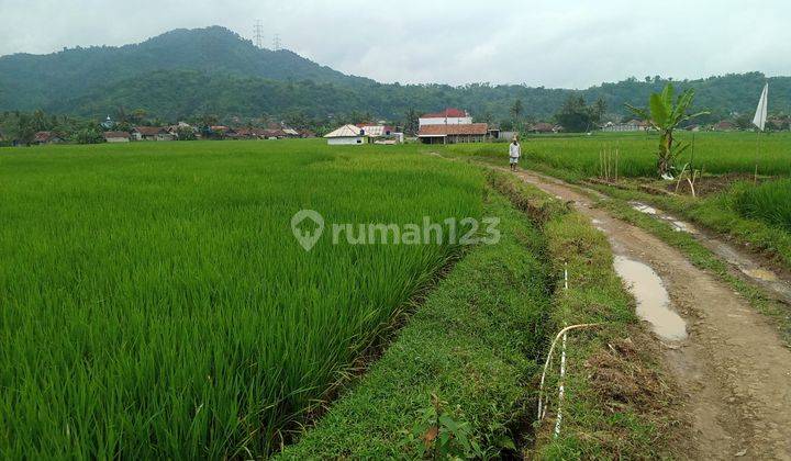 Di jual tanah view lepas  10