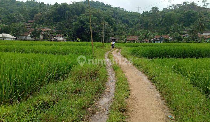 Di jual tanah view lepas  12