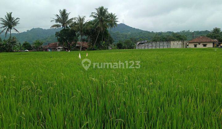 Di jual tanah view lepas gunung  4