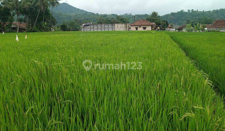 Di jual tanah view lepas gunung  5