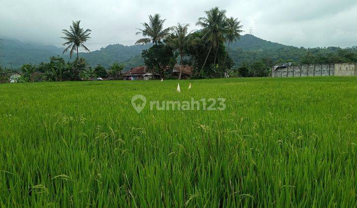 Di jual tanah view lepas gunung  6
