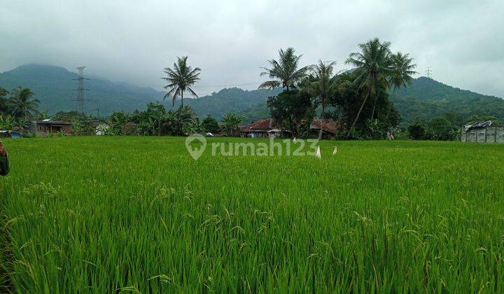 Di jual tanah view lepas gunung  9
