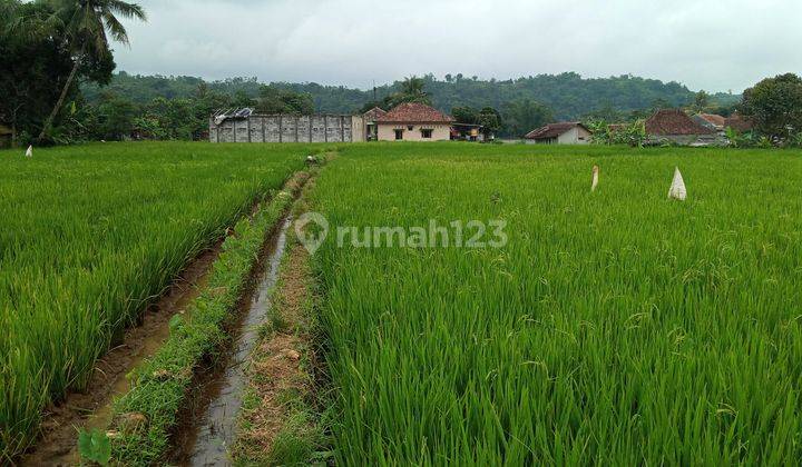 Di jual tanah view lepas gunung  10