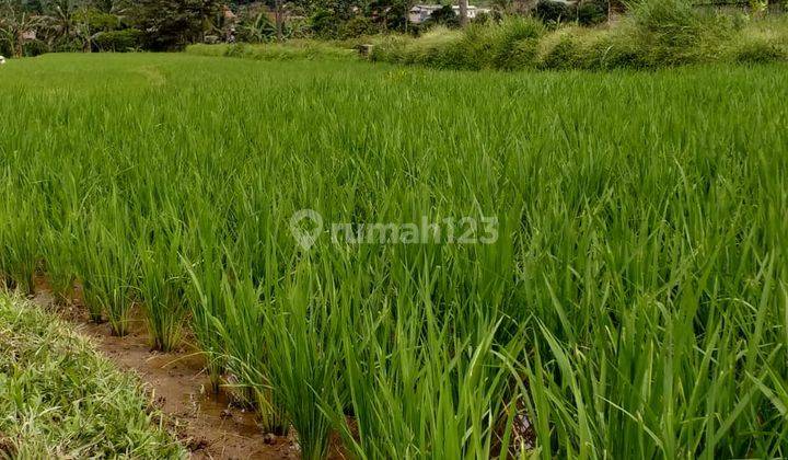 Di jual sebidang tanah view lepas jalan raya sangat strategis  4