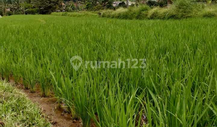 Di jual sebidang tanah view lepas jalan raya sangat strategis  5