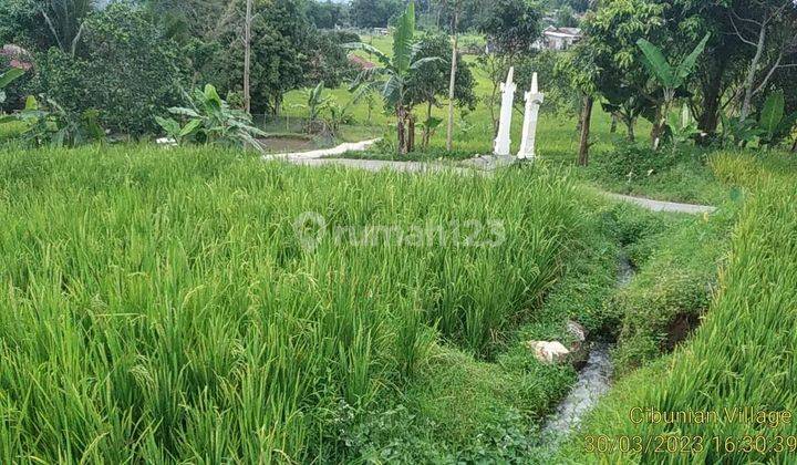 Di jual tanah murah view lepas  7
