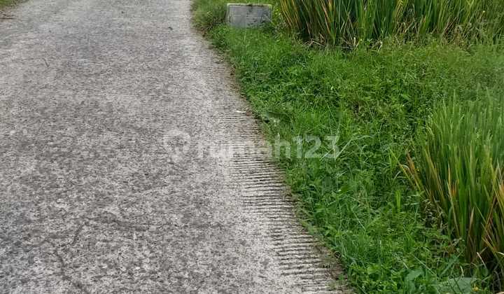 Di jual tanah murah view lepas  8