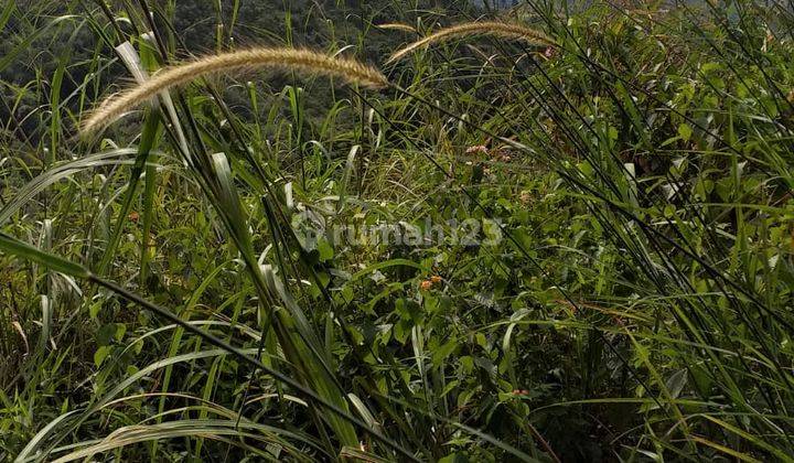 Tanah lokasi sangat strategis cocok untuk investasi+villa  4