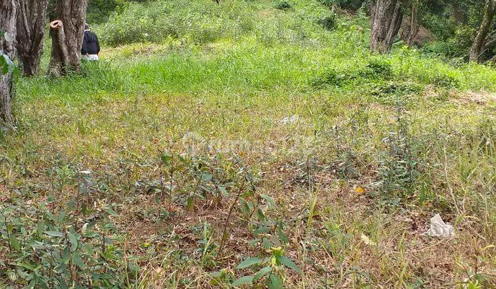 Tanah lokasi sangat strategis cocok untuk investasi+villa  5