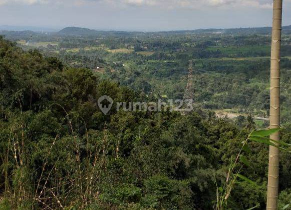 Tanah lokasi sangat strategis cocok untuk investasi+villa  7