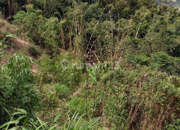 Tanah lokasi sangat strategis cocok untuk investasi+villa  8