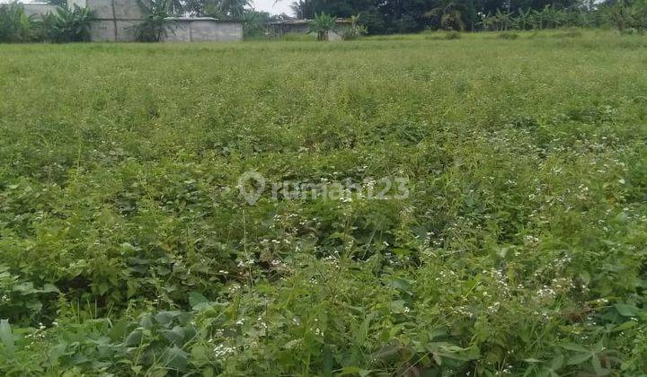 Di jual tanah murah lokasi sangat strategis  2