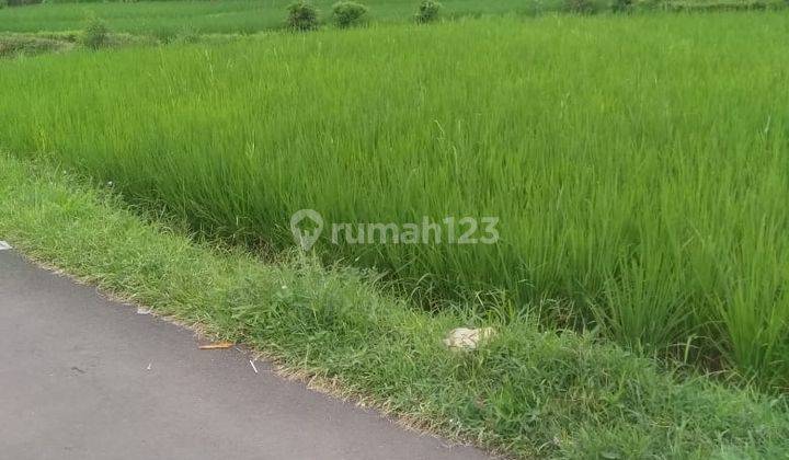 Di jual tanah murah lokasi sangat strategis  1