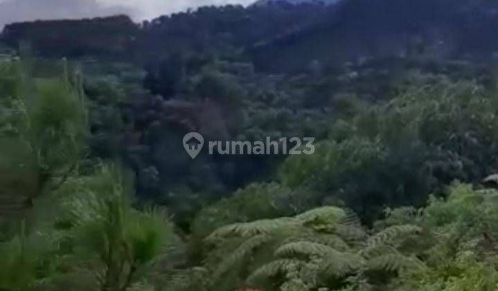 Di jual tanah view lepas gunung salak Endah  4