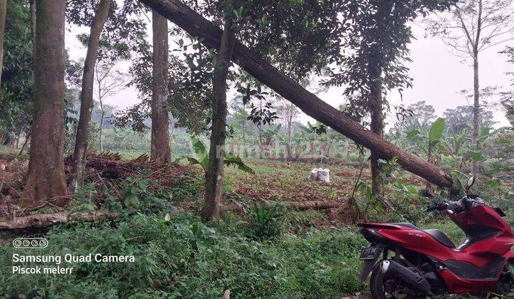 Di jual tanah murah jalan raya strategis  5