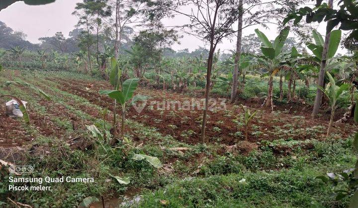Di jual tanah murah jalan raya strategis  6