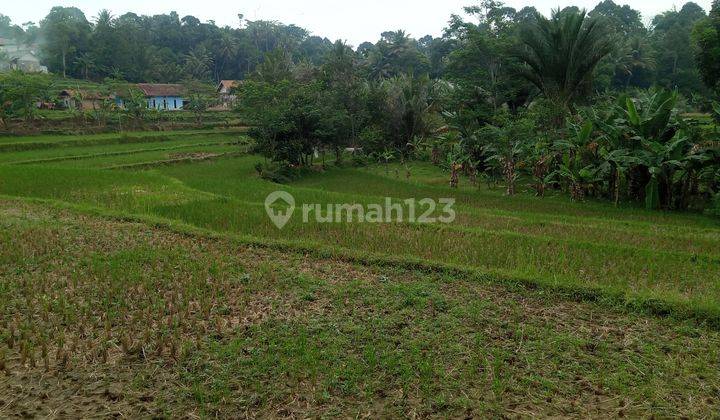 Di jual sebidang tanah murah  2