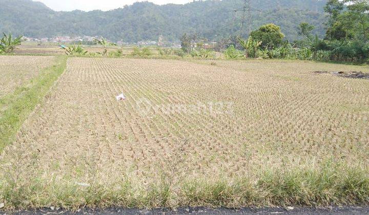 Di jual tanah murah lokasi sangat strategis view lepas  2