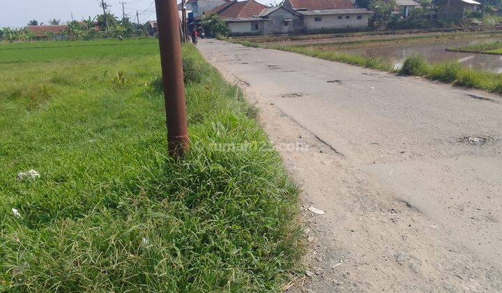 Di jual tanah murah lokasi sangat strategis nempel jalan  2