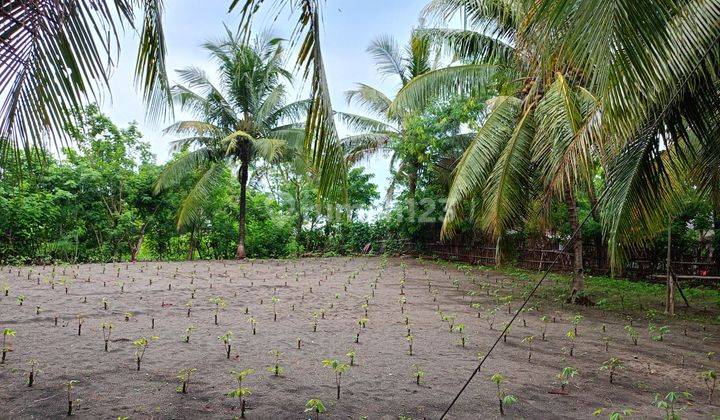 Di jual lahan tanah lokasi sangat strategis view lepas pantai pelabuhan ratu. 1