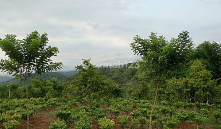 Di jual lahan tanah murah lokasi sangat strategis view lepas  2