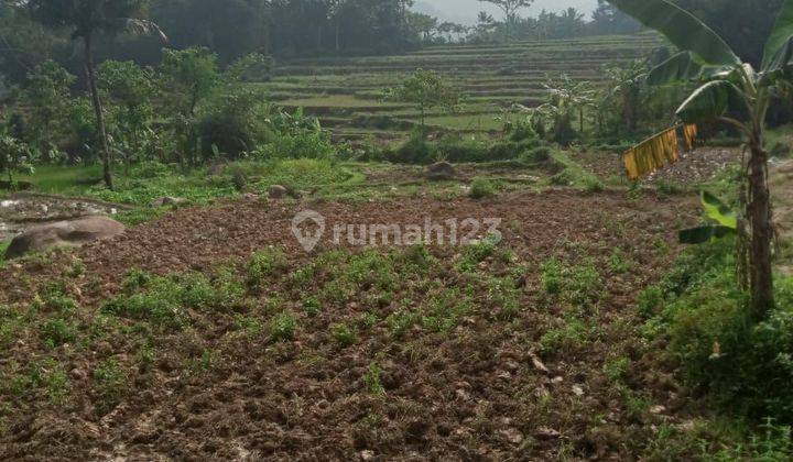 Di jual lahan tanah lokasi sangat strategis view lepas  2