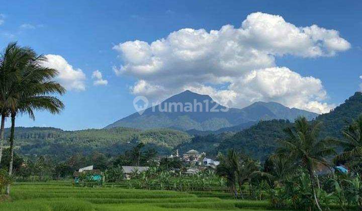 Di jual tanah murah lokasi sangat strategis view lepas gunung salak  1